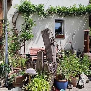  Apartment Gartenzimmer Mit Strassenbahn Zu Dom Und Messe Deutschland
